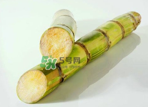 甘蔗是哪里的特產(chǎn)？甘蔗是什么地方的特產(chǎn)