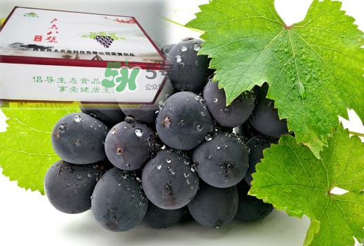 戶太八號什么時候成熟？戶太八號幾月份成熟？
