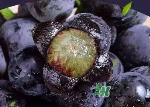 戶太八號(hào)多少錢一斤？戶太八號(hào)為什么在全國很有名？