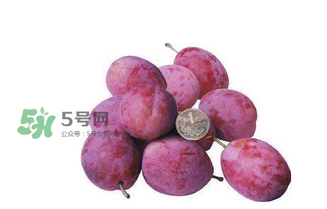 西梅什么時候上市？新疆西梅什么時候上市