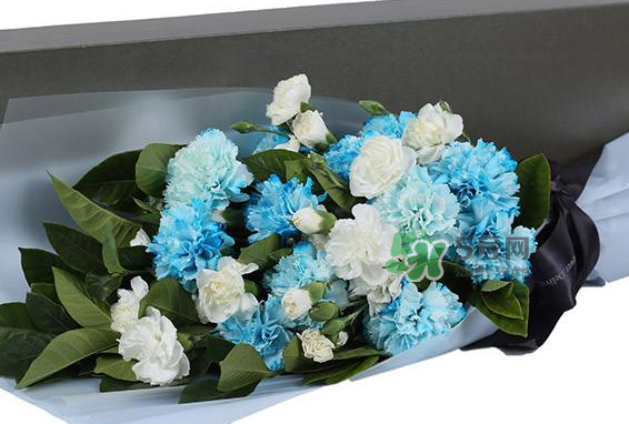 joyflower是哪國品牌？joyflower怎么樣？