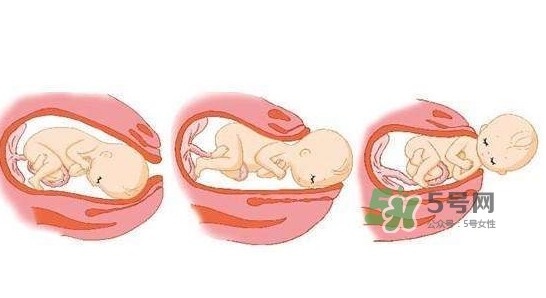 胎兒什么時候入盆？胎兒入盆后胎動會減少嗎？