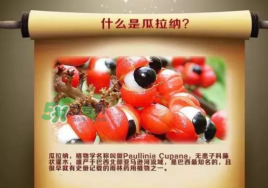 黑卡飲料多少錢一瓶？黑卡6小時價格表