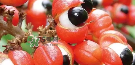 黑卡飲料多少錢一瓶？黑卡6小時價格表