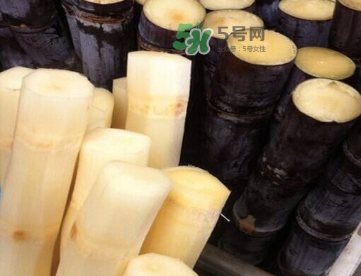 甘蔗是哪里的特產(chǎn)？甘蔗是什么地方的特產(chǎn)