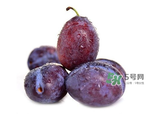 西梅怎么挑選？新鮮西梅怎么保存