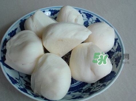 涼薯是什么東西？涼薯是地瓜嗎？