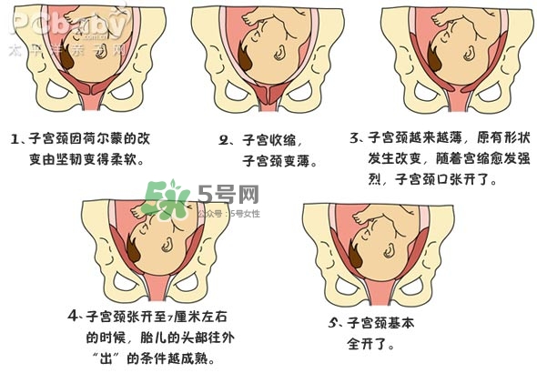 生孩子的過程是怎樣的？生孩子的真實過程