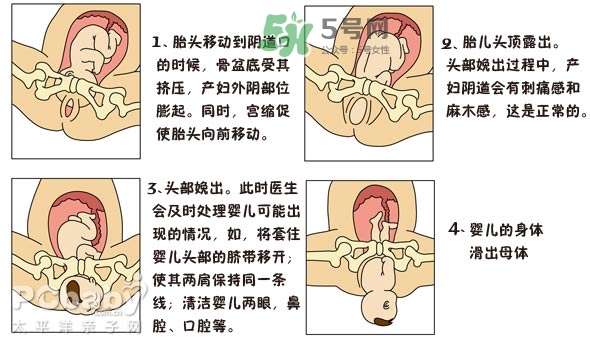 生孩子的過程是怎樣的？生孩子的真實過程