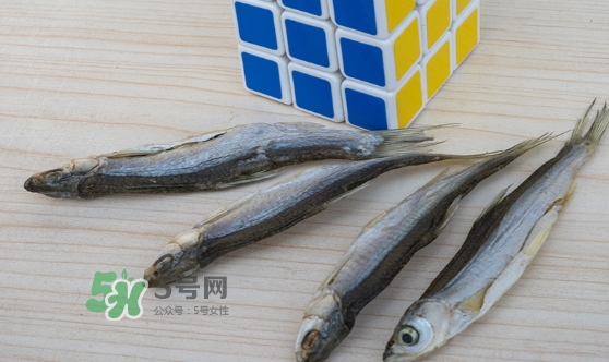 刁子魚是發(fā)物嗎？刁子魚是不是發(fā)物