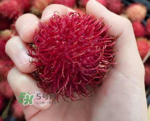 紅毛丹是什么水果？紅毛丹是熱性水果嗎？