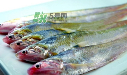 刁子魚是秋刀魚嗎？刁子魚是海魚嗎？