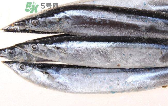 秋刀魚是海魚嗎？秋刀魚是淡水魚還是海魚