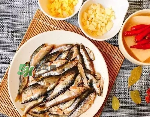 刁子魚多少錢一斤？刁子魚價(jià)格表