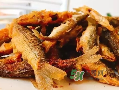 刁子魚多少錢一斤？刁子魚價(jià)格表