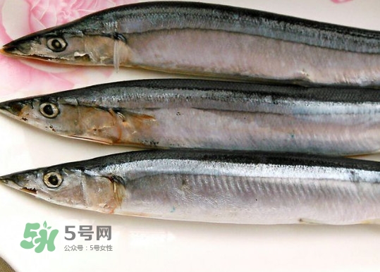 秋刀魚是不是鲅魚？秋刀魚和鲅魚的區(qū)別