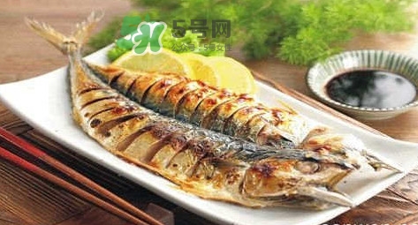 秋刀魚是不是鲅魚？秋刀魚和鲅魚的區(qū)別