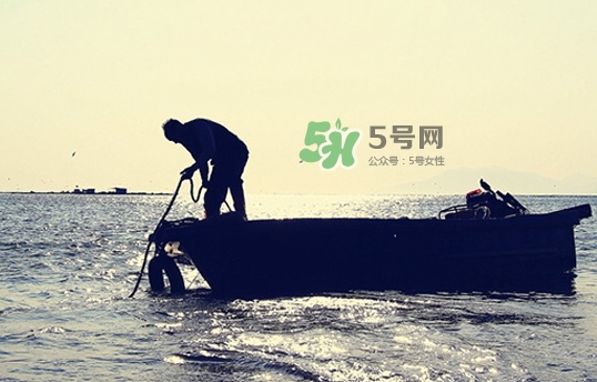 剝皮魚孕婦可以吃嗎？懷孕可以吃剝皮魚嗎？