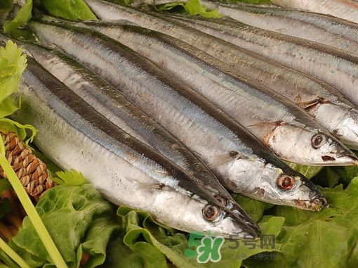 秋刀魚為什么那么便宜？秋刀魚為什么叫秋刀魚
