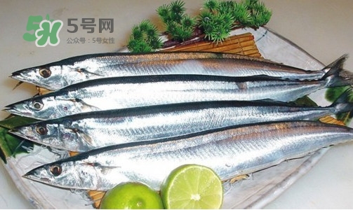 沙丁魚和秋刀魚有什么不一樣？秋刀魚和沙丁魚的區(qū)別