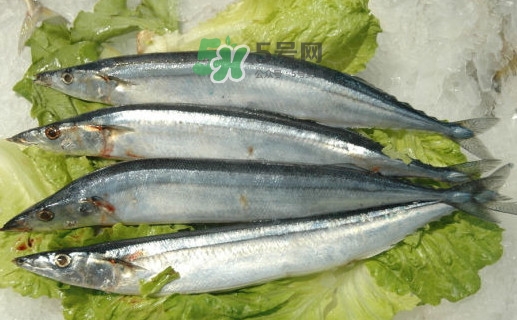 秋刀魚為什么那么便宜？秋刀魚為什么叫秋刀魚