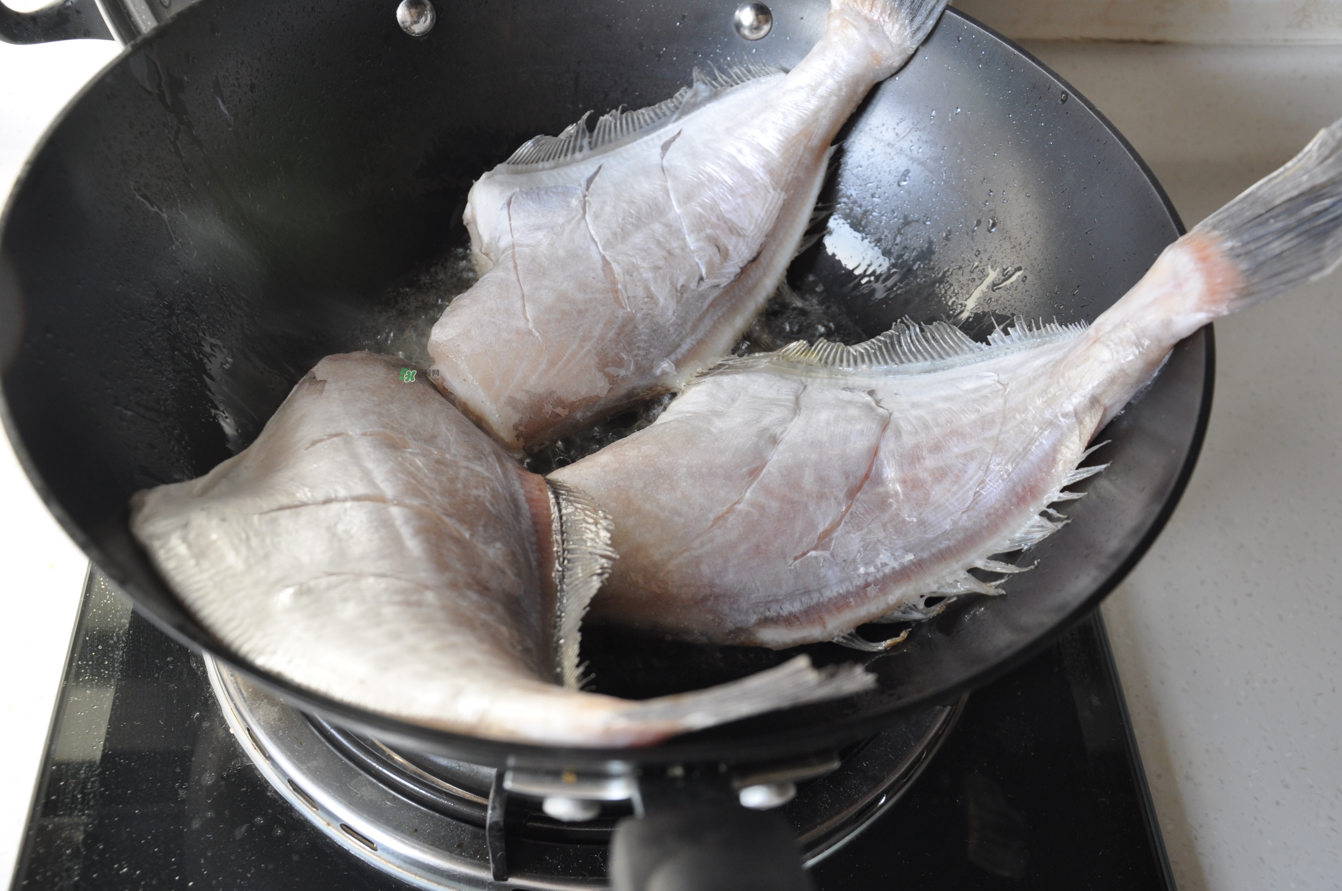 剝皮魚孕婦可以吃嗎？懷孕可以吃剝皮魚嗎？