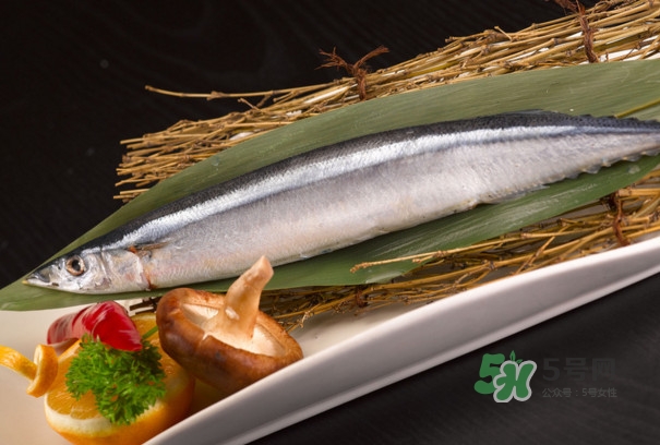 秋刀魚是不是鲅魚？秋刀魚和鲅魚的區(qū)別
