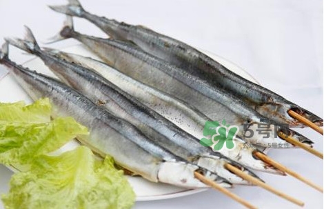 秋刀魚是海魚嗎？秋刀魚是淡水魚還是海魚