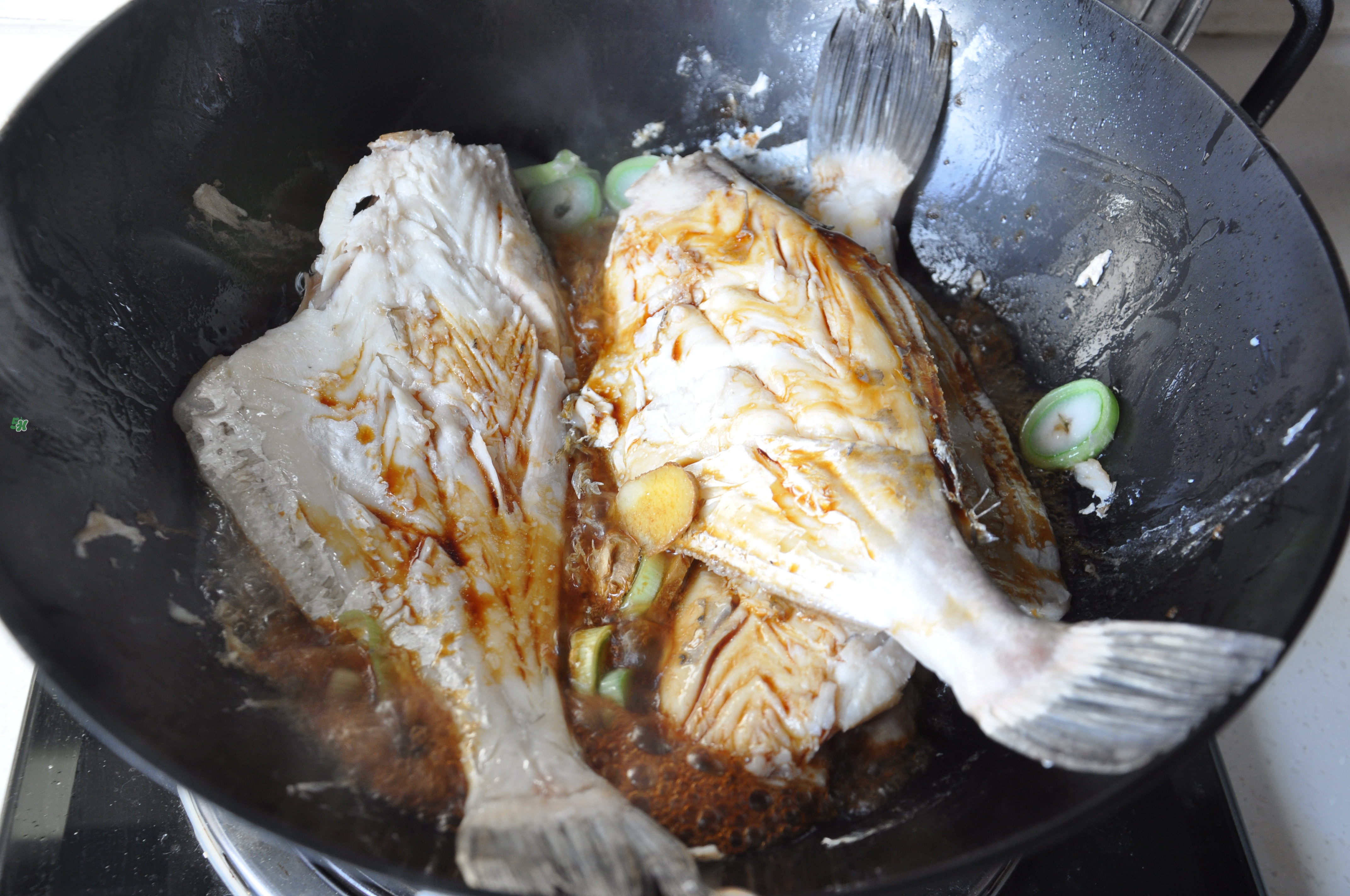 剝皮魚孕婦可以吃嗎？懷孕可以吃剝皮魚嗎？