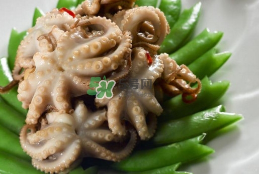 八爪魚的頭能吃嗎？八爪魚的頭里面是什么