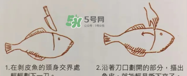 剝皮魚為什么要剝皮？剝皮魚的皮有毒嗎？