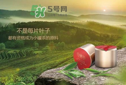 小罐茶是什么茶？小罐茶是哪八種茶？