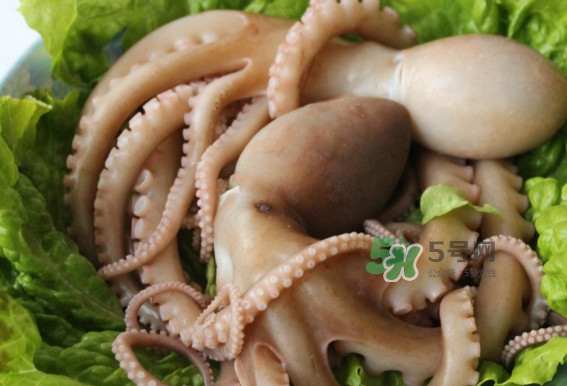 八爪魚的頭能吃嗎？八爪魚的頭里面是什么