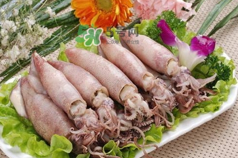 筆管魚怎么做好吃？筆管魚有什么營養(yǎng)