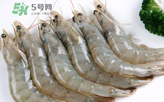 厄瓜多爾蝦是海蝦嗎？厄瓜多爾蝦好吃嗎？