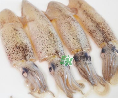 筆管魚(yú)是什么魚(yú)？筆管魚(yú)怎么吃