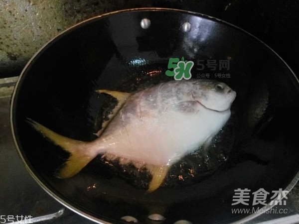 金鯧魚是海魚嗎？金鯧魚的刺多嗎？