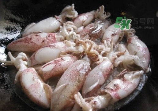 筆管魚是魷魚嗎？筆管魚和魷魚的區(qū)別