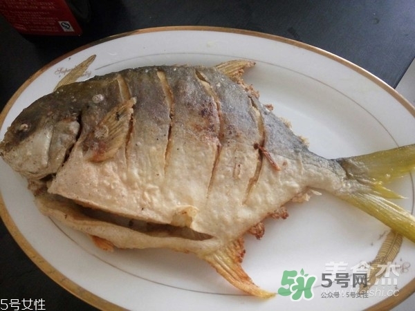 金鯧魚是海魚嗎？金鯧魚的刺多嗎？
