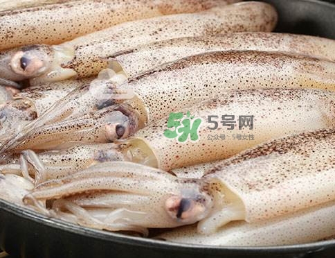 筆管魚(yú)是什么魚(yú)？筆管魚(yú)怎么吃