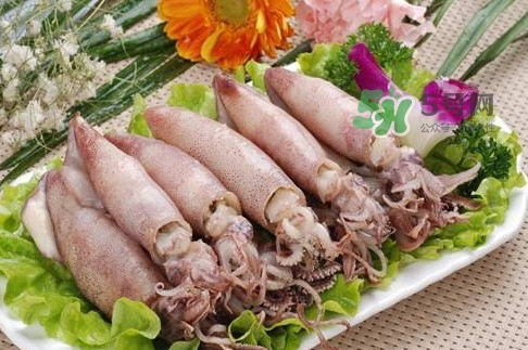筆管魚是魷魚嗎？筆管魚和魷魚的區(qū)別