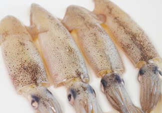 筆管魚是什么魚？筆管魚怎么吃