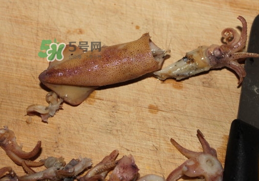 筆管魚怎么清洗？筆管魚怎么處理