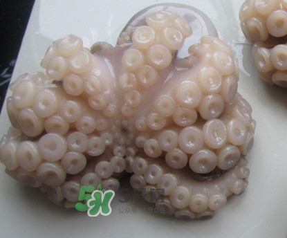 章魚有牙齒嗎？章魚天敵是什么