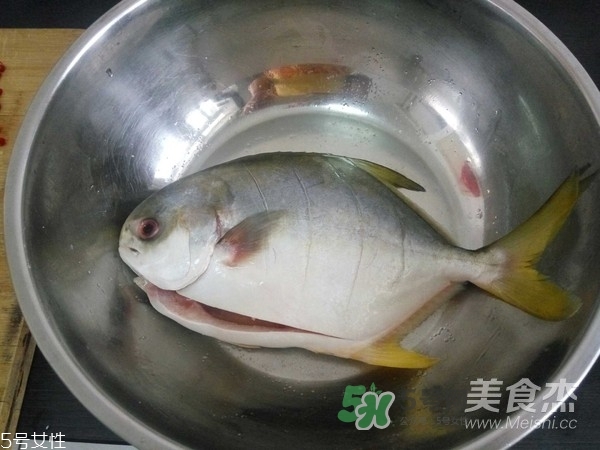 金鯧魚是海魚嗎？金鯧魚的刺多嗎？