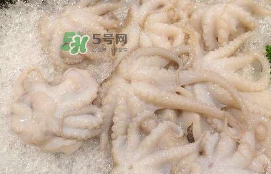 八爪魚的頭能吃嗎？八爪魚的頭里面是什么