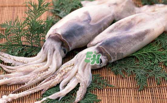 魷魚(yú)和雞蛋可以同時(shí)食用？魷魚(yú)不能和什么一起吃