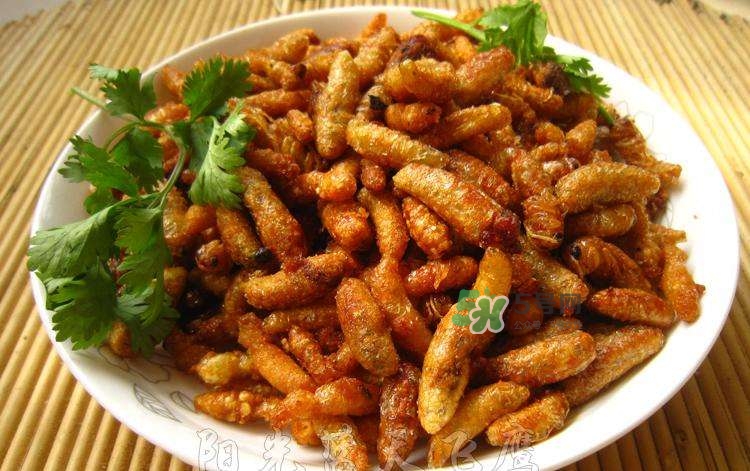 蜂蛹可以生吃嗎？蜂蛹的營(yíng)養(yǎng)價(jià)值