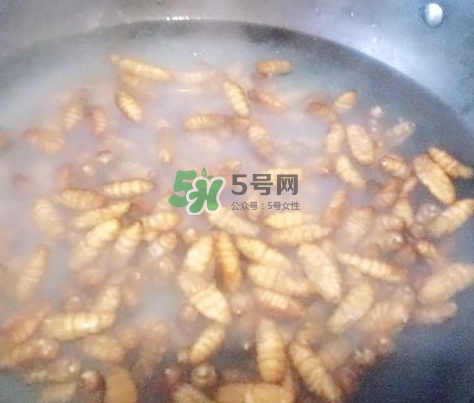 蜂蛹怎么保存？蜂蛹怎么做好吃？