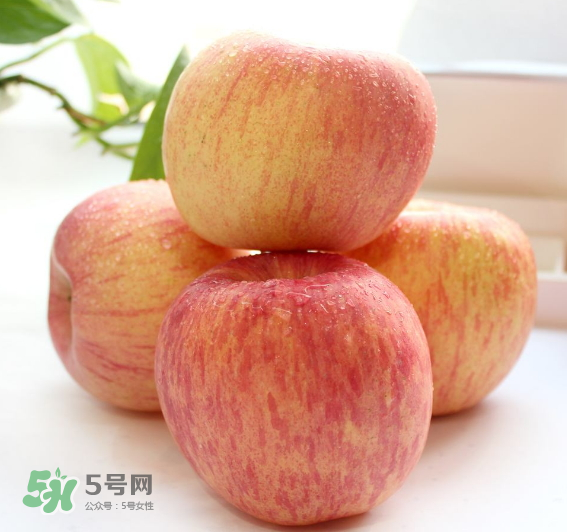 蘋(píng)果種類有哪些？蘋(píng)果種類哪種最好